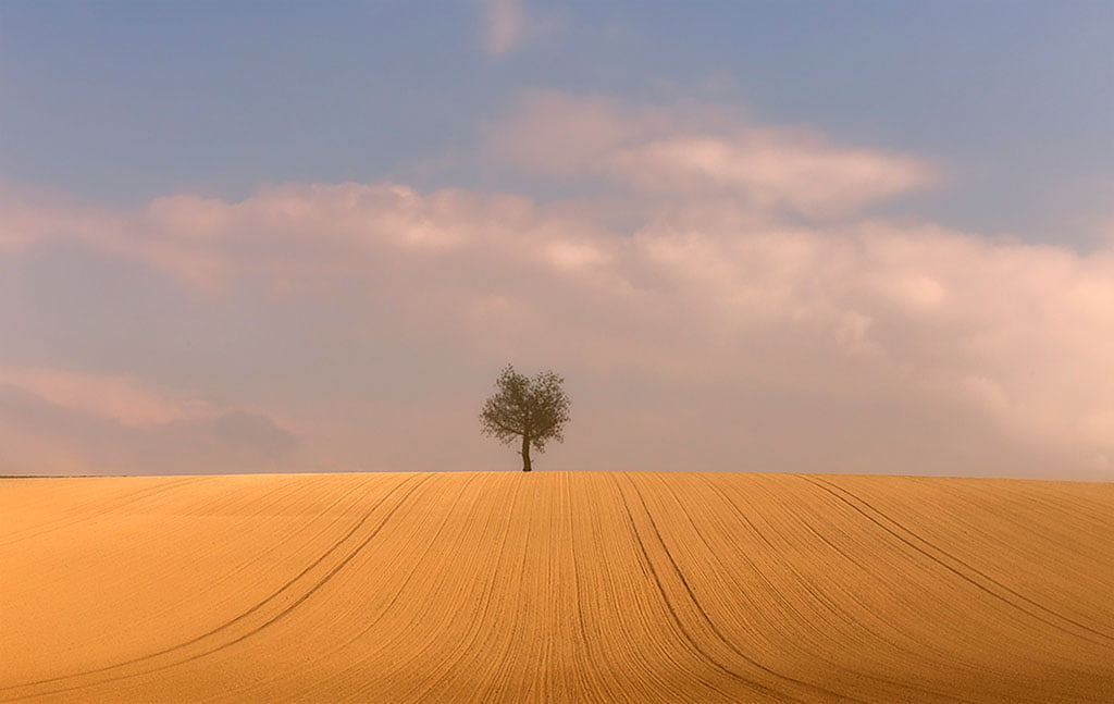 Solitude