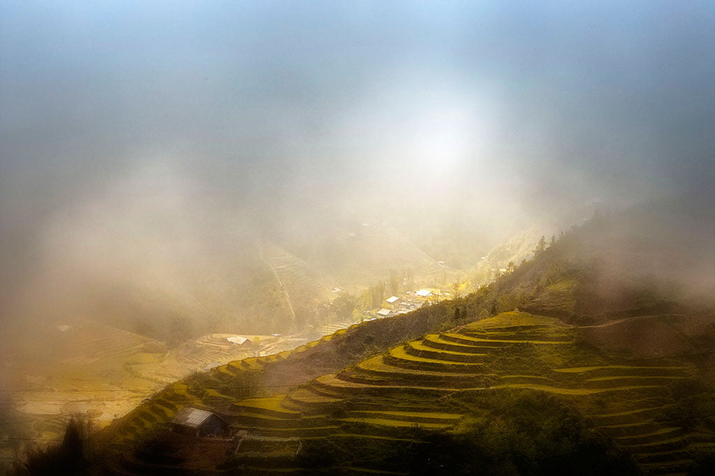 Rizières en terrasses à Sapa - Vietnam