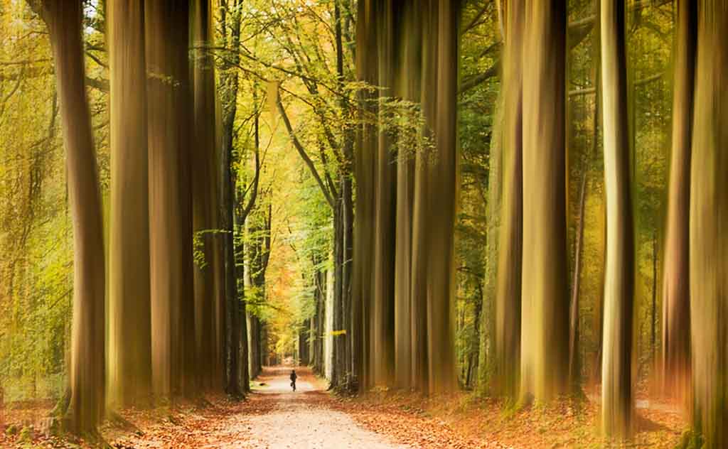 Autumn in Brussels
