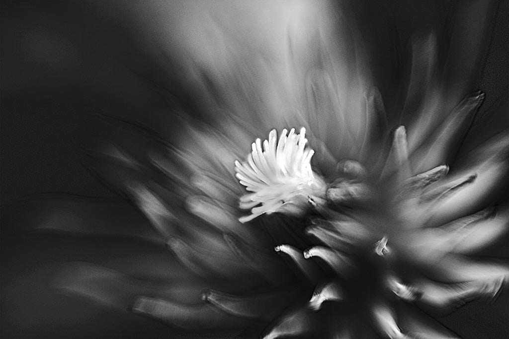 Into-the-light