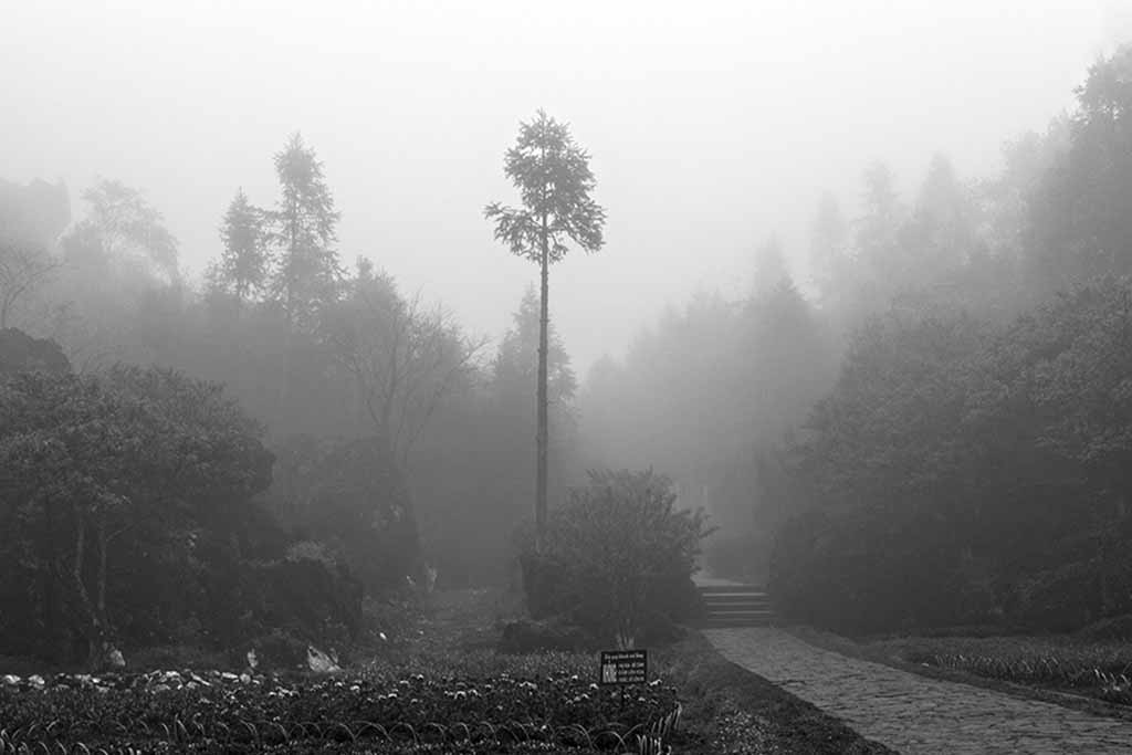 Vietnam, photographie noir et blanc