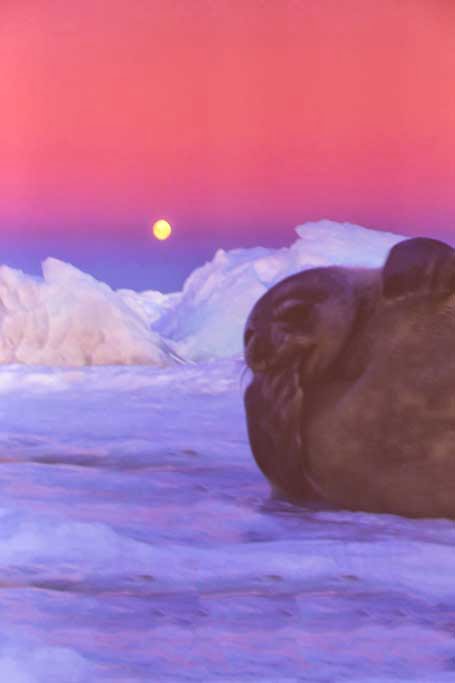 Antartica