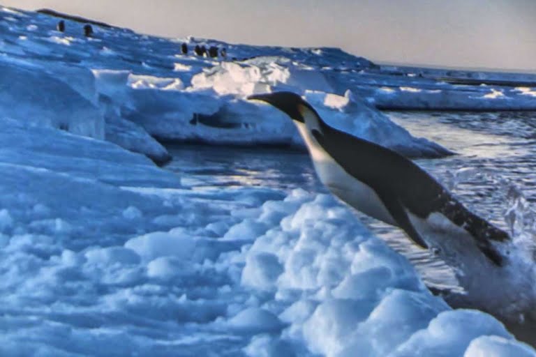 Antartica