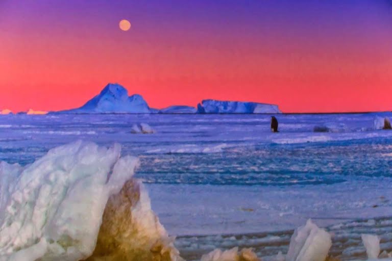 Antartica