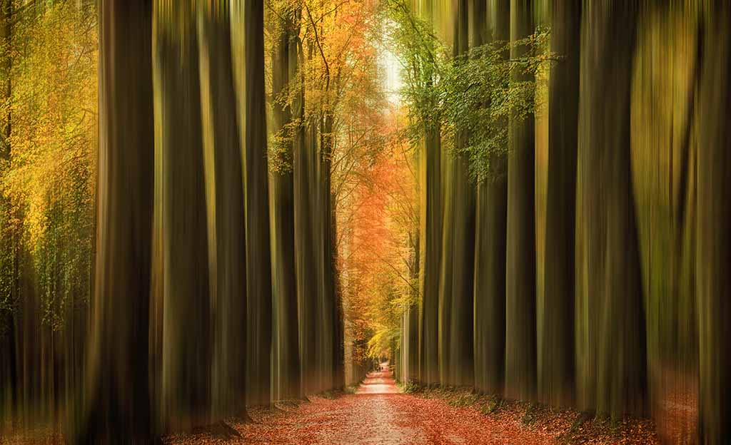 Colourful autumn