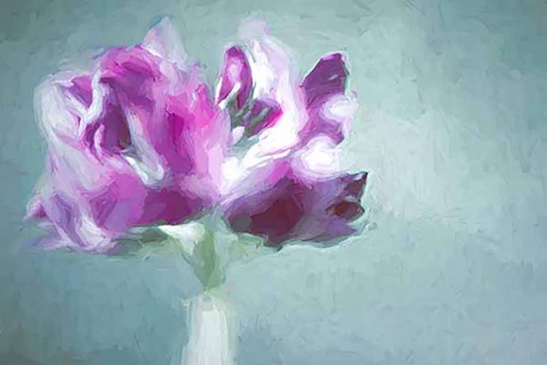 Fleur d'hiver
