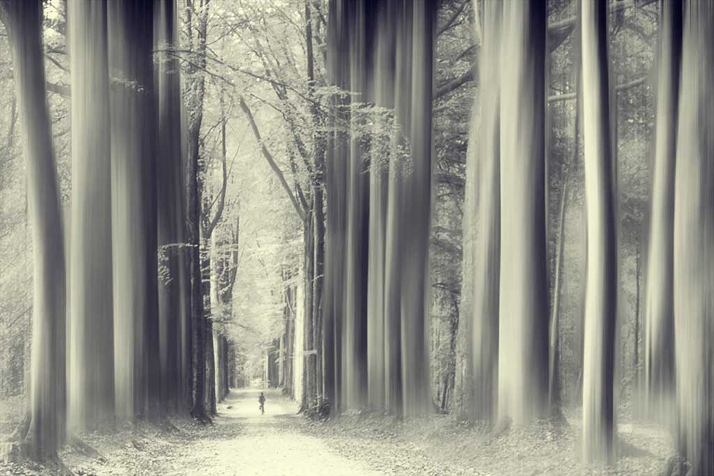 Running in the woods