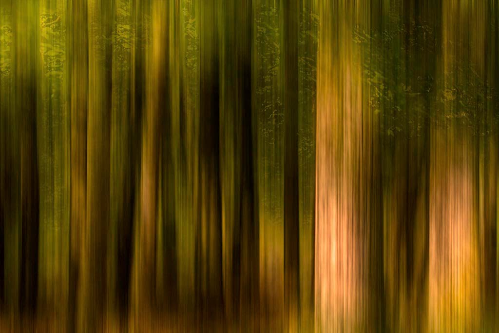 automne