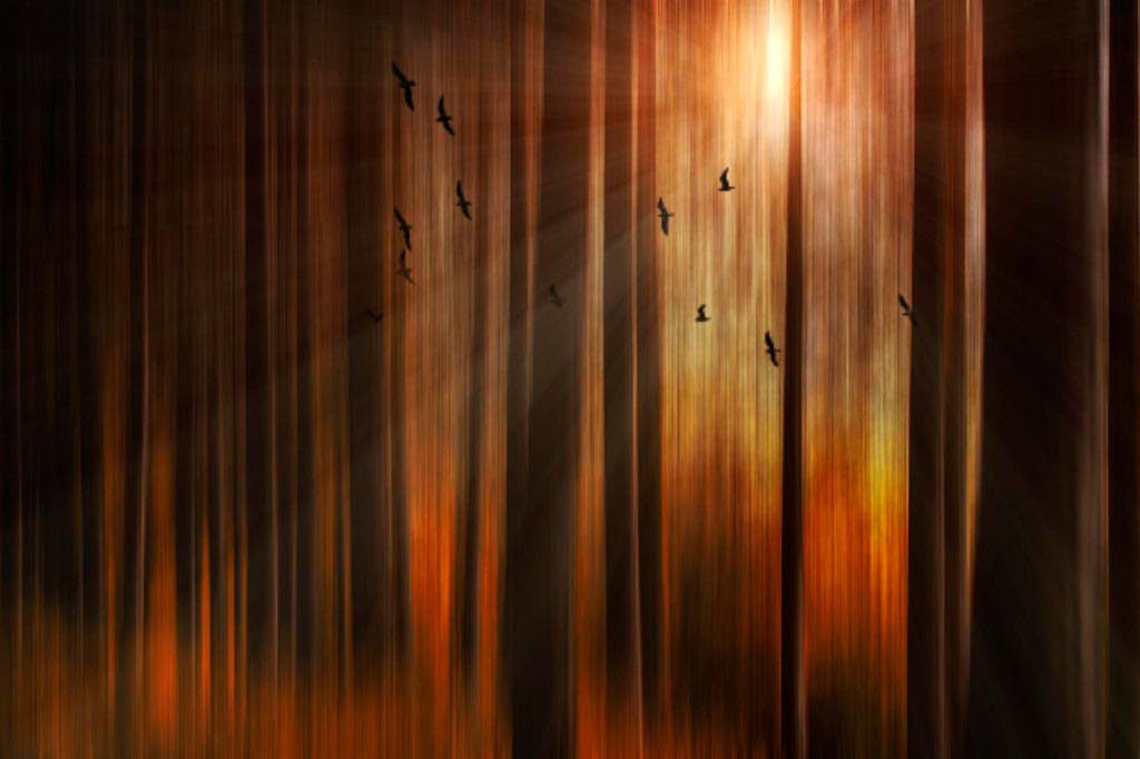 autumn delight