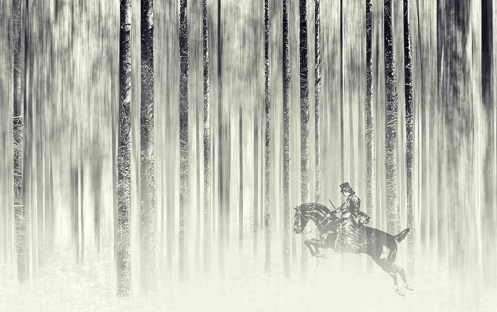 riding in the forest