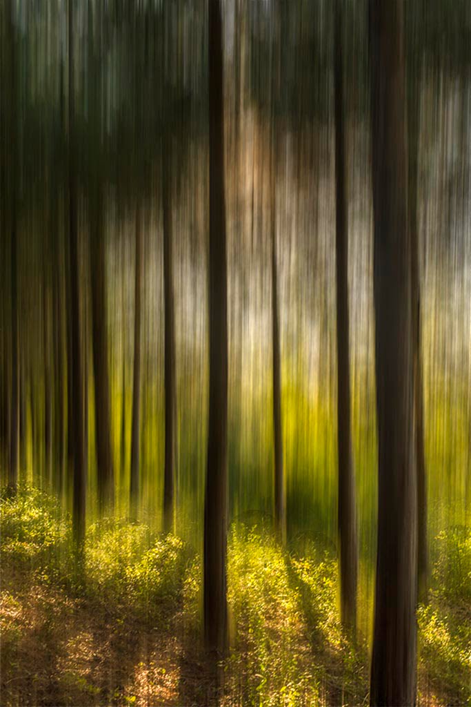 summer light