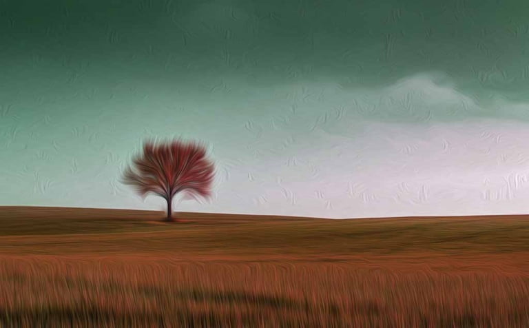 Lonely tree