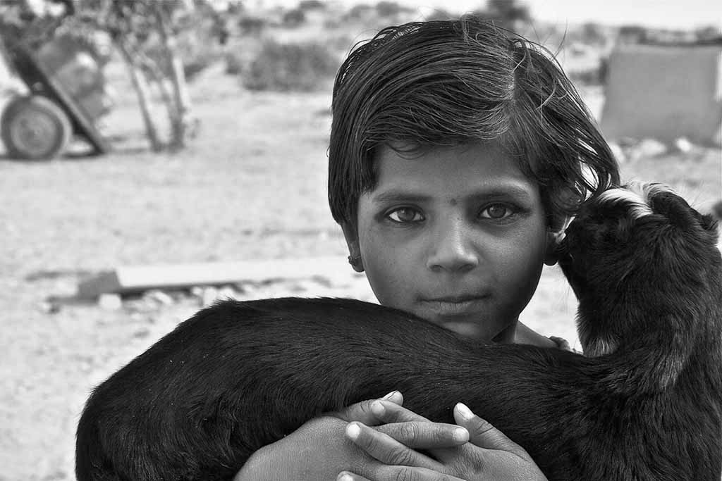 The girl and the lamb