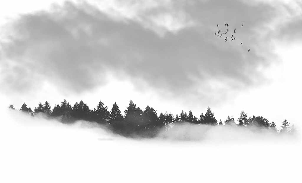 misty morning