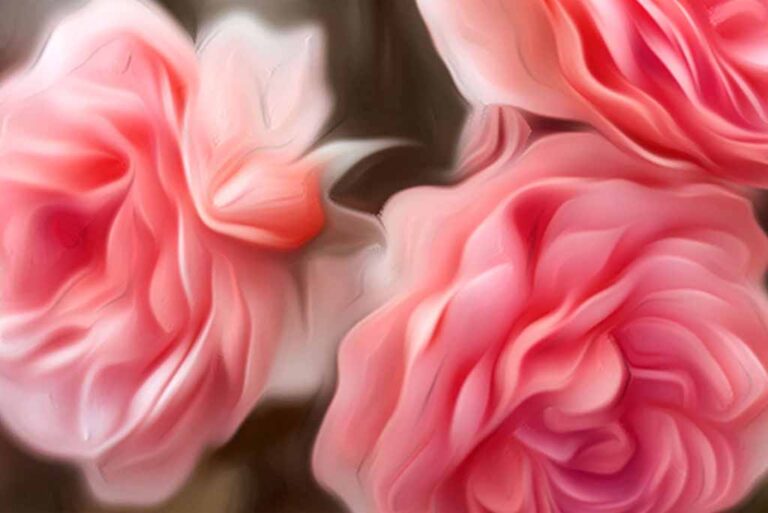 3 roses