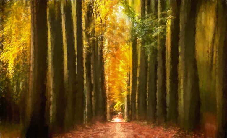 Autumn in Brussels