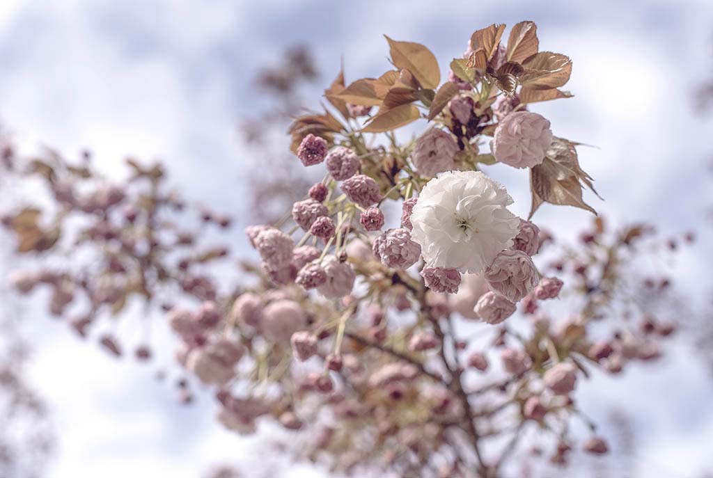 Soft spring